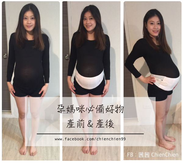 犬印 封面-01.jpg